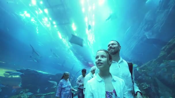 十代の少女のお父さんに感心ドバイ ・ モール ストック映像ビデオで水槽のガラスのトンネルの海洋生物 — ストック動画