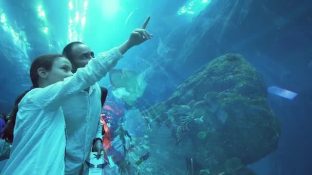 Tienermeisje met papa bewonderen het mariene leven in de tunnel van glas voor het Aquarium in Dubai Mall stock footage video — Stockvideo