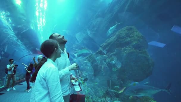 Dospívající dívka s tátou obdivovat podmořský život v tunelu skleněné akvárium v Dubai Mall stopáže videa — Stock video
