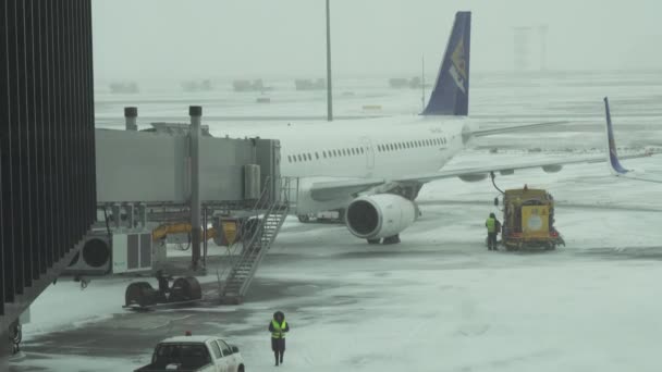 Servizio di preparazione del velivolo per il volo in un aeroporto innevato dell'aeroporto internazionale di Astana — Video Stock