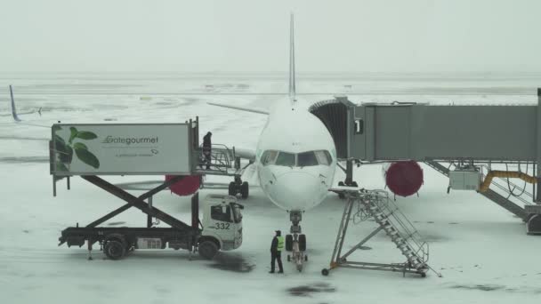 アスタナ国際空港映像ビデオの雪の飛行場での飛行の航空機準備のサービス — ストック動画