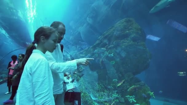 Teini-ikäinen tyttö isän kanssa ihailla meren elämää Dubain ostoskeskuksen akvaarion lasitunnelissa — kuvapankkivideo