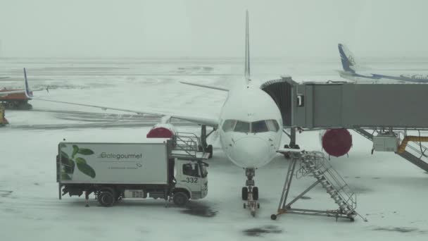 Hizmet için karlı bir aerodrome, uçuş uçak hazırlık Astana Uluslararası Havaalanı Stok görüntüleri video — Stok video