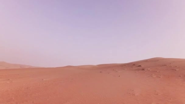 Reisen in einem Geländewagen auf dem Sand der Rub al-Khali Wüste Stock Footage Video — Stockvideo