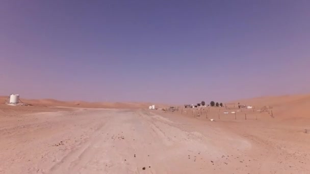 Camel Farm on the sand of Rub al Khali desert stock footage video — Stock Video