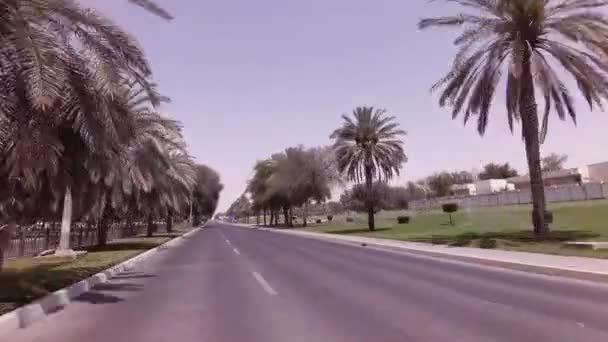 Camino pasa a través de la Oasis Liwa a Abu Dhabi archivo de vídeo — Vídeo de stock