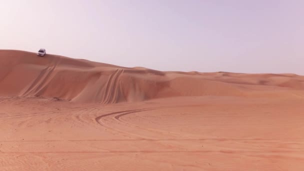 Carros off-road com turistas descem de uma duna alta no Rub al Khali vídeo stock deserto — Vídeo de Stock