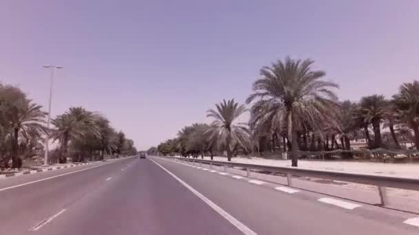 Camino pasa a través de la Oasis Liwa a Abu Dhabi archivo de vídeo — Vídeo de stock