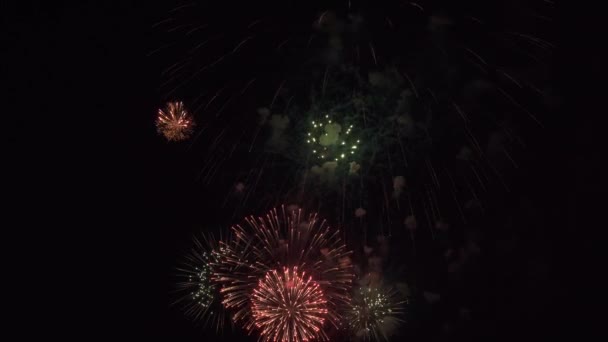 Hermosos fuegos artificiales en el cielo negro archivo de vídeo — Vídeos de Stock