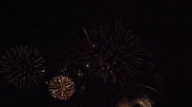 Siyah gökyüzü Stok görüntüleri video üzerinde güzel havai fişek