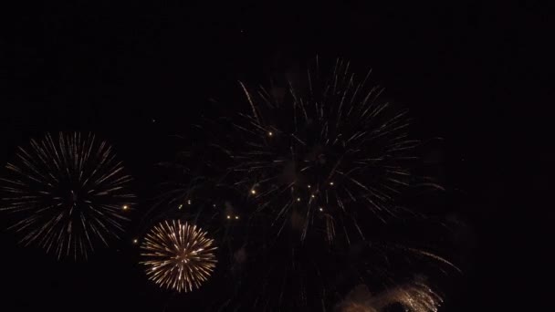 Schönes Feuerwerk auf schwarzem Himmel Stock Footage Video — Stockvideo