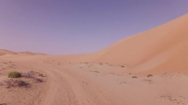 En düşük Rub al hali çöl Stok görüntüleri video güzel kumulları araba gezisi