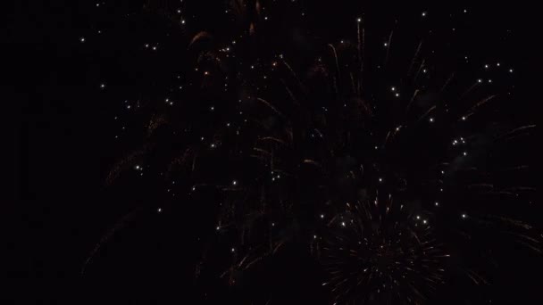 Hermosos fuegos artificiales en el cielo negro archivo de vídeo — Vídeos de Stock