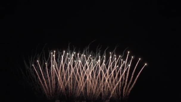 Bela exibição de fogos de artifício coloridos para celebração em fundo preto, Ano Novo férias conceito imagens de vídeo — Vídeo de Stock