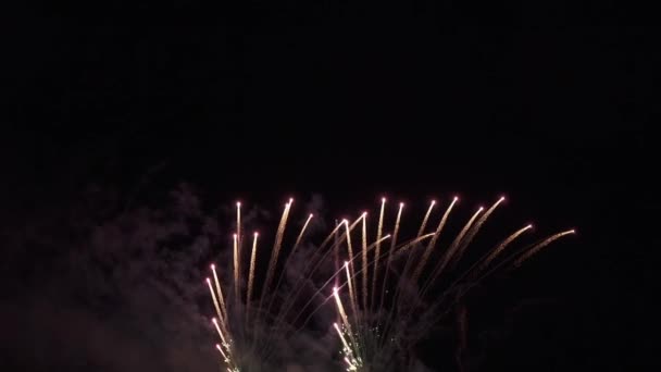 Hermosa exhibición de fuegos artificiales de colores para la celebración en el fondo negro, Año nuevo concepto de vacaciones material de archivo de vídeo — Vídeos de Stock