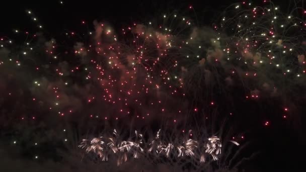 Hermosa exhibición de fuegos artificiales de colores para la celebración en el fondo negro, Año nuevo concepto de vacaciones material de archivo de vídeo — Vídeos de Stock