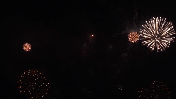 Hermosa exhibición de fuegos artificiales de colores para la celebración en el fondo negro, Año nuevo concepto de vacaciones material de archivo de vídeo — Vídeos de Stock