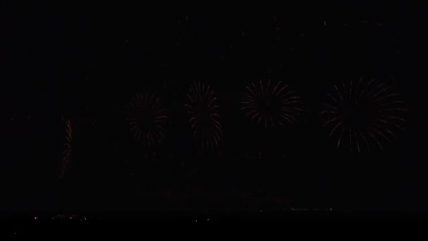 Fogo de artifício colorido no fundo do céu preto imagens de vídeo — Vídeo de Stock