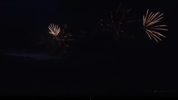 Kleurrijke vuurwerk op zwarte hemel achtergrond stock footage video — Stockvideo