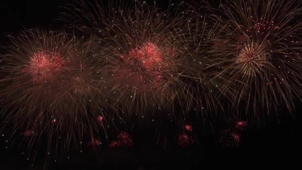 Beautiful colorful fireworks display for celebration on black background, New year holiday concept stock footage video — Stock Video
