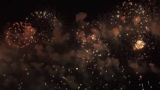 아름 다운 화려한 불꽃놀이 새 해 휴일 개념 재고 장면 비디오 검은 배경에 축 하에 대 한 — 비디오
