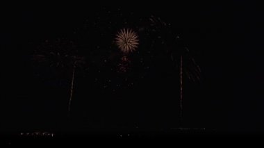 Siyah gökyüzü arka plan Stok görüntüleri video üzerinde renkli havai fişek