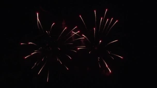 Bela exibição de fogos de artifício coloridos para celebração em fundo preto, Ano Novo férias conceito imagens de vídeo — Vídeo de Stock