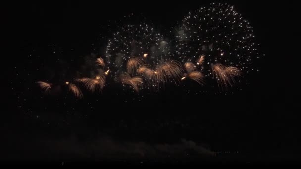 Fogo de artifício colorido no fundo do céu preto imagens de vídeo — Vídeo de Stock