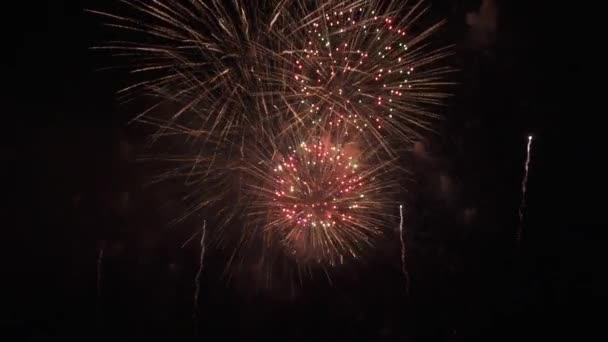 Schöne bunte Feuerwerk für die Feier auf schwarzem Hintergrund, Neujahr Urlaub Konzept Stock Footage Video — Stockvideo