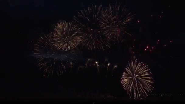Красочные фейерверки на фоне черного неба — стоковое видео
