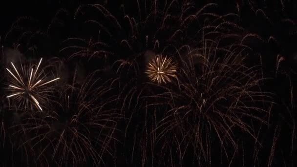 Hermosa exhibición de fuegos artificiales de colores para la celebración en el fondo negro, Año nuevo concepto de vacaciones material de archivo de vídeo — Vídeo de stock