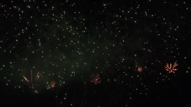 Hermosa exhibición de fuegos artificiales de colores para la celebración en el fondo negro, Año nuevo concepto de vacaciones material de archivo de vídeo — Vídeo de stock