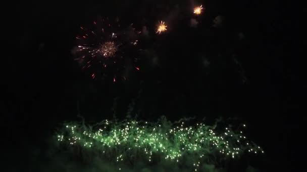 Bela exibição de fogos de artifício coloridos para celebração em fundo preto, Ano Novo férias conceito imagens de vídeo — Vídeo de Stock