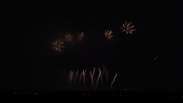 Colorful fireworks on black sky background stock footage video — Stock Video