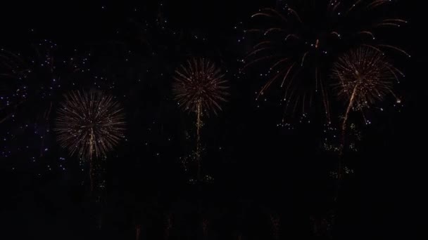 Hermosa exhibición de fuegos artificiales de colores para la celebración en el fondo negro, Año nuevo concepto de vacaciones material de archivo de vídeo — Vídeos de Stock