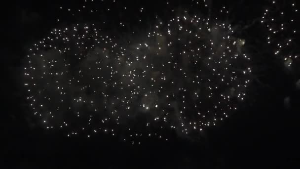 Hermosa exhibición de fuegos artificiales de colores para la celebración en el fondo negro, Año nuevo concepto de vacaciones material de archivo de vídeo — Vídeos de Stock