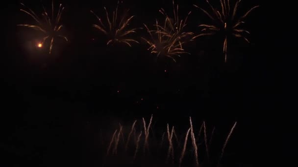 Gyönyörű színes tűzijáték ünnep a fekete háttér, újév holiday koncepció stock footage videóinak — Stock videók