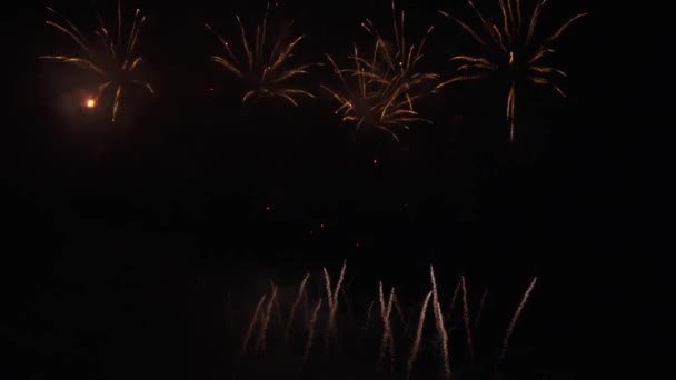 Bela exibição de fogos de artifício coloridos para celebração em fundo preto, Ano Novo férias conceito imagens de vídeo — Vídeo de Stock