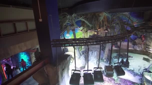 Mensen zijn dieren in de onderwater dierentuin in Dubai Mall stock footage video kijken — Stockvideo