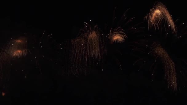 Mooie vuurwerk kleurrijke voor viering op zwarte achtergrond, Nieuwjaars vakantie concept stock footage video — Stockvideo