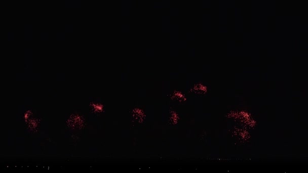 Fuegos artificiales de colores en el cielo negro material de archivo de vídeo — Vídeos de Stock