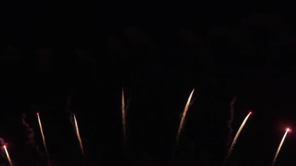 Schönes Farbenfrohes Feuerwerk Zur Feier Auf Schwarzem Hintergrund Neujahrsurlaubskonzept Stock — Stockvideo