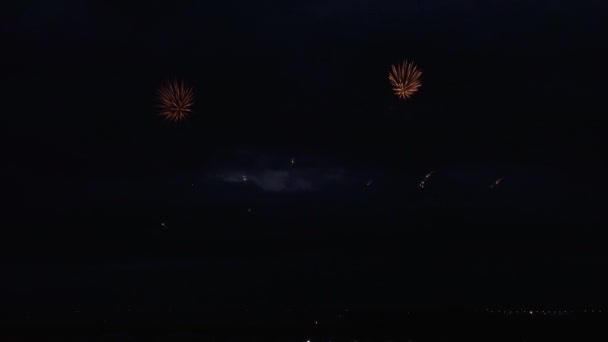 Fogo de artifício colorido no fundo do céu preto imagens de vídeo — Vídeo de Stock