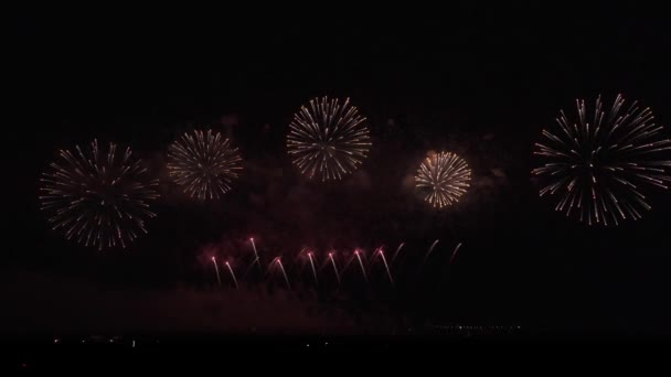 Fuegos artificiales de colores en el cielo negro material de archivo de vídeo — Vídeo de stock