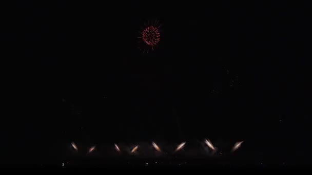 Colorful fireworks on black sky background stock footage video — Stock Video