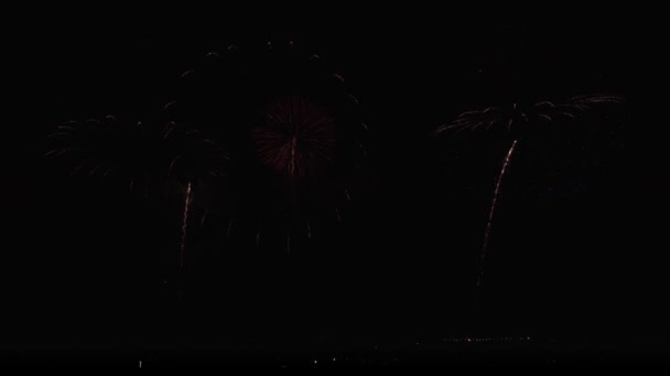 Барвисті феєрверки на фоні чорного неба відео — стокове відео