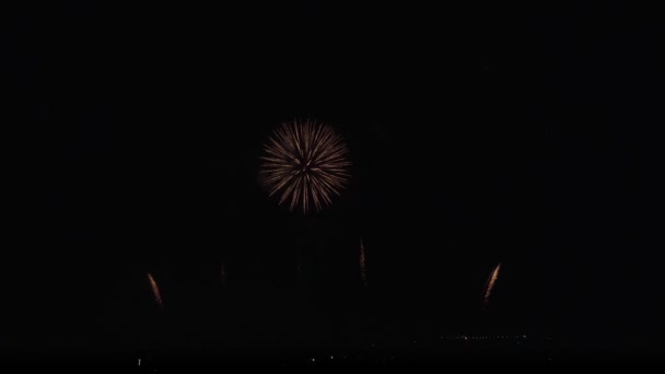 Fuochi d'artificio colorati su sfondo cielo nero stock video — Video Stock