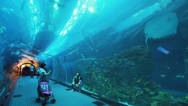 As pessoas admiram a vida marinha no túnel de vidro do Aquário no Dubai Mall — Fotografia de Stock