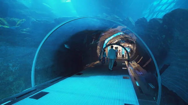 As pessoas admiram a vida marinha no túnel de vidro do Aquário no Dubai Mall — Fotografia de Stock