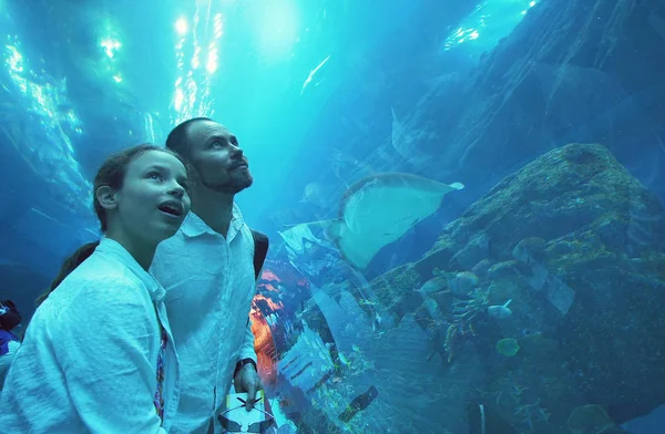 Adolescente con papá admira la vida marina en el túnel de cristal del acuario en Dubai Mall —  Fotos de Stock